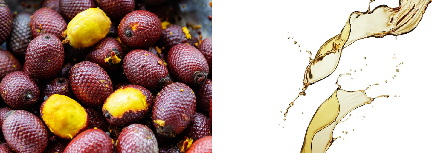 Taya Beauty Buriti Nut Intensive Repair Oil Treatment - Polishes, Protects, Smooths and Adds Brilliant Shine to Hair