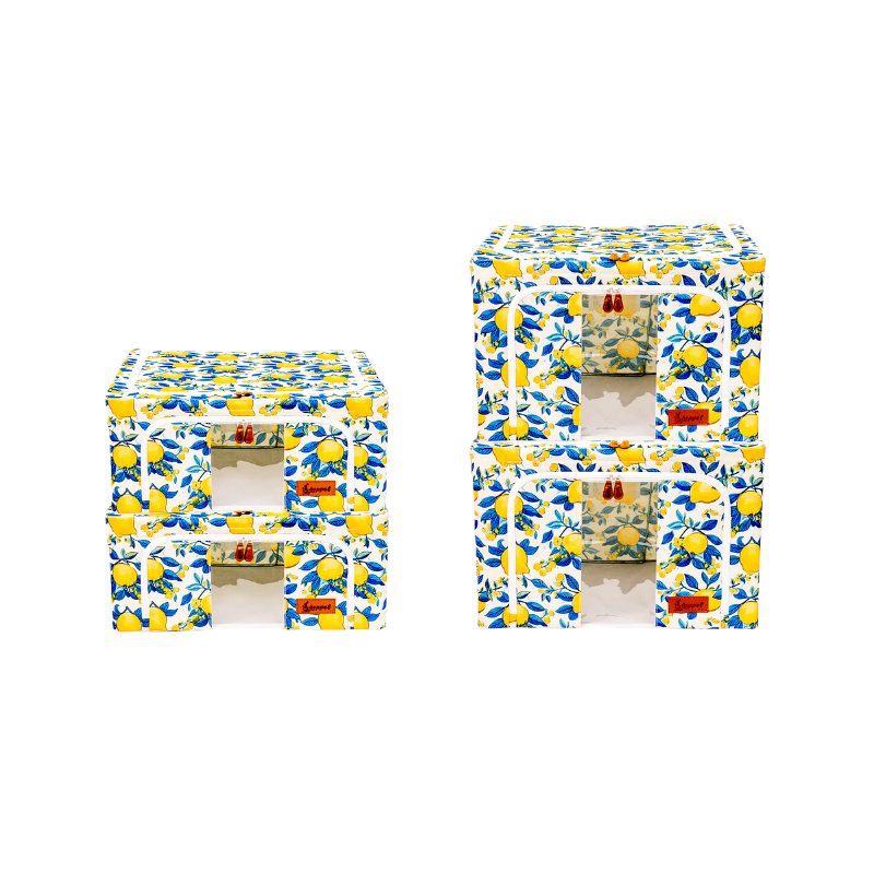 Hoppel Closet Organizer Bundle - Includes 2 Medium Bins + 2 Large Bins