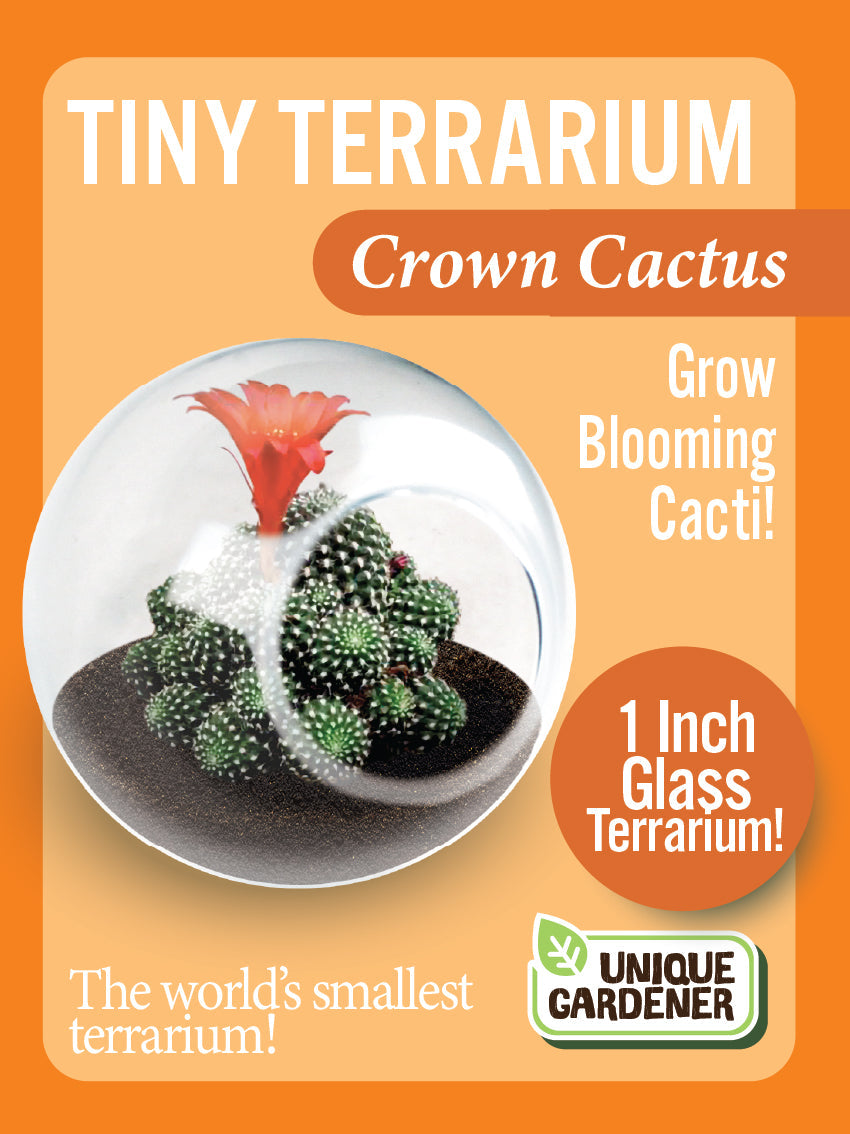 Flowering Cacti Tiny Terrariums Seed Bundle - 3 Varieties
