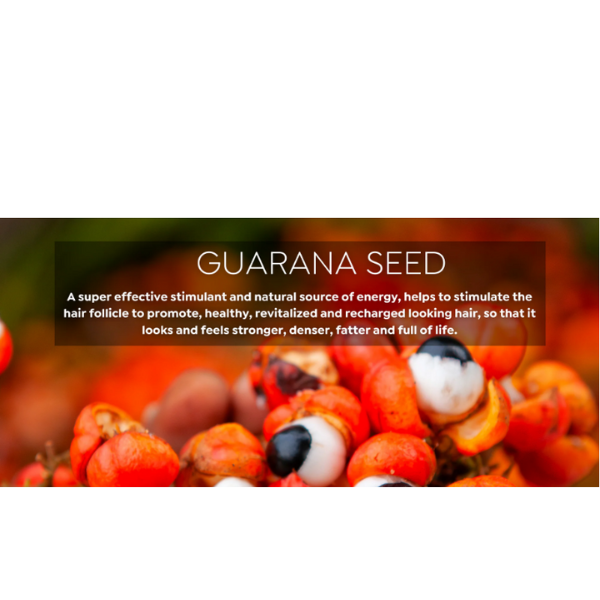 Taya Beauty Guarana Active Stimulating Serum-Super Size - Promotes Healthier, Denser, More Lustrous Hair