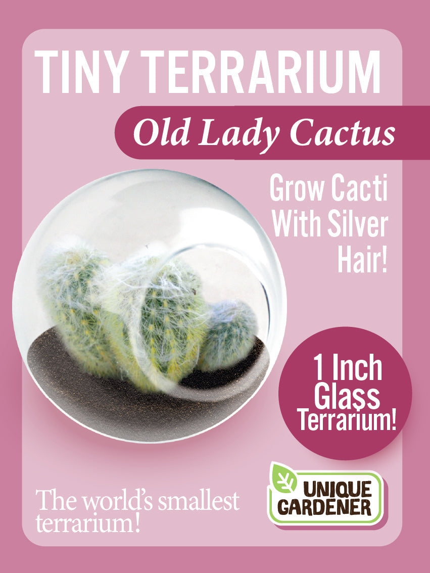 Flowering Cacti Tiny Terrariums Seed Bundle - 3 Varieties