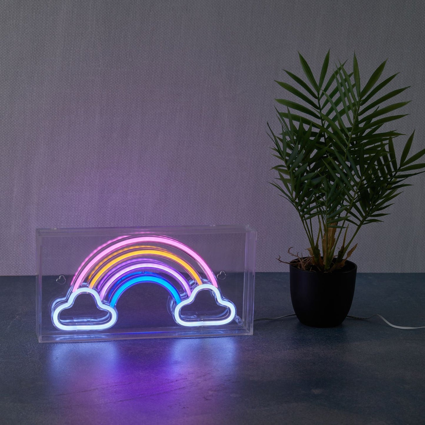Neon Art Rainbow Desktop & Wall Sign