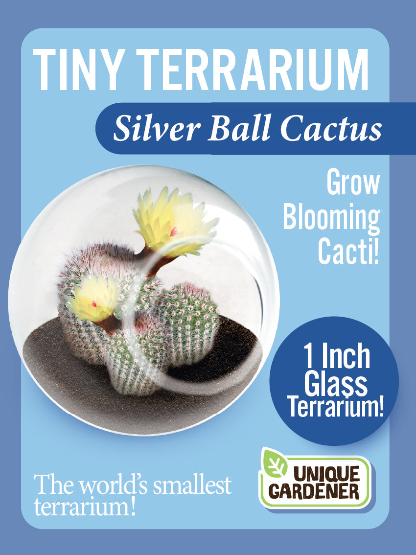 Flowering Cacti Tiny Terrariums Seed Bundle - 3 Varieties