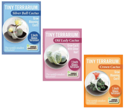 Flowering Cacti Tiny Terrariums Seed Bundle - 3 Varieties