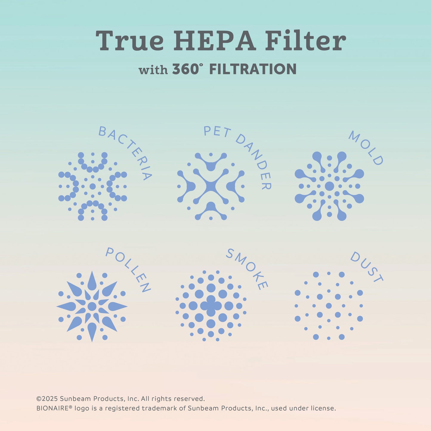 Bionaire True HEPA 360 Replacement Filter for Desktop, Mini and Sense Air Purifier, 6-12 Month Life, 1 Count