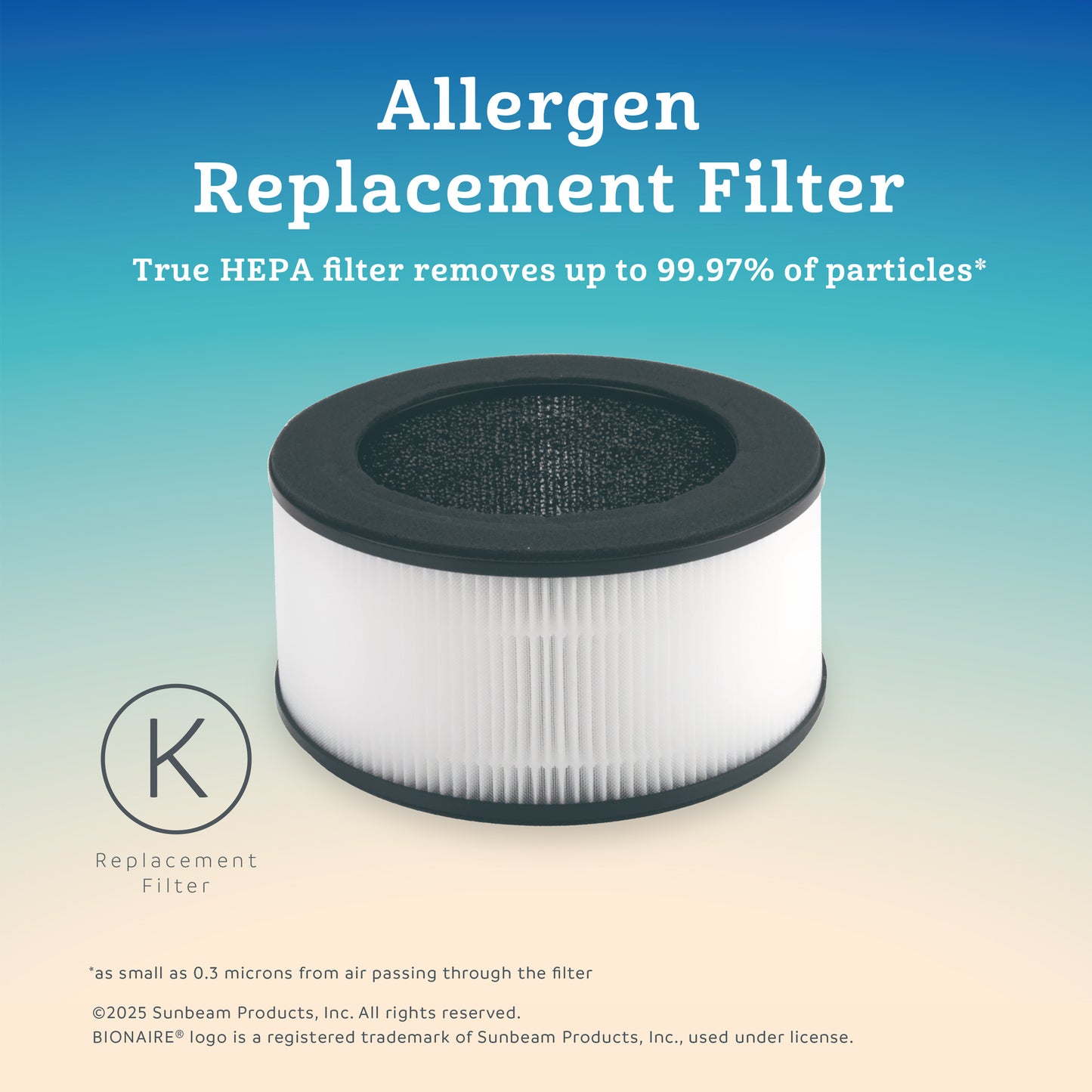 Bionaire True HEPA 360 Replacement Filter for Desktop, Mini and Sense Air Purifier, 6-12 Month Life, 1 Count