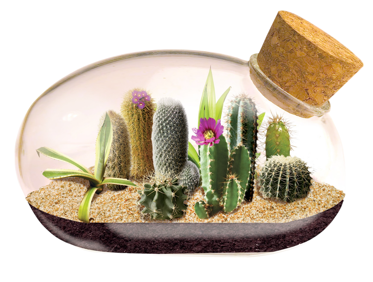 Unique Gardener - The Desert Mouse Garden Glass Terrarium with Cork